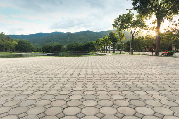 Best Best Driveway Pavers  in Lmer Heights, PA